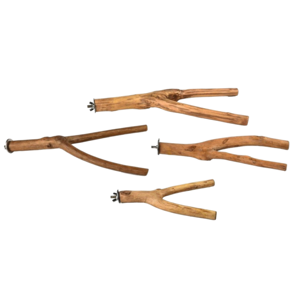 Nature Island Natural Branch Wooden Bird Perch – Large