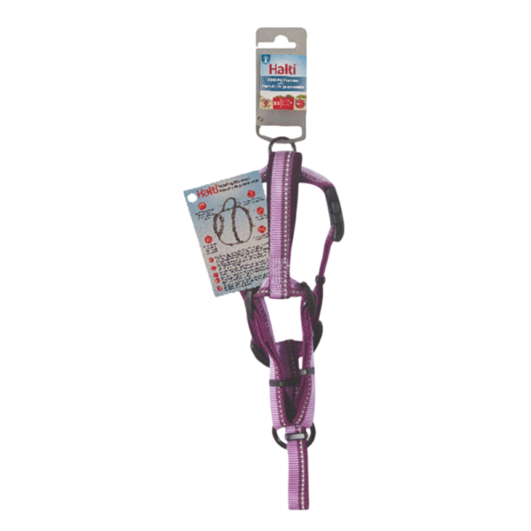 Halti Walking Dog Harness in Purple