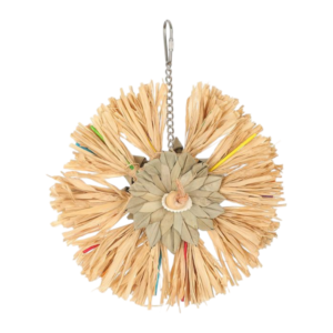 Nature Island Sunburst Raffia With Seashell Hanging Bird Toy - Each