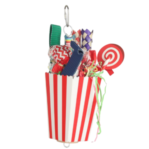 Nature Island Carnival Favour Box Hanging Bird Toy - Each