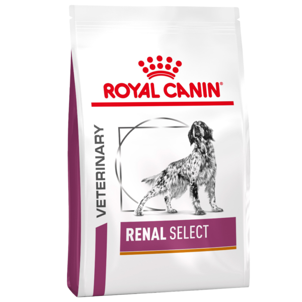 Royal Canin Veterinary Diet Renal Select Adult Dry Dog Food – 2kg