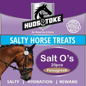 Huds And Toke Salt-Os Functional Horse Treats - 20 Pack