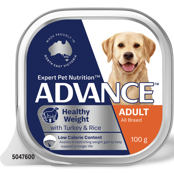 Advance Adult Healthy Weight Turkey With Rice Wet Dog Food Trays