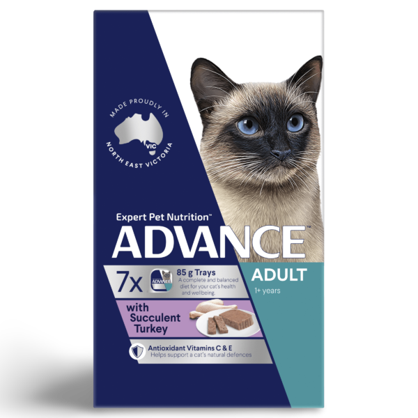 Advance Adult Succulent Turkey Wet Cat Food Trays