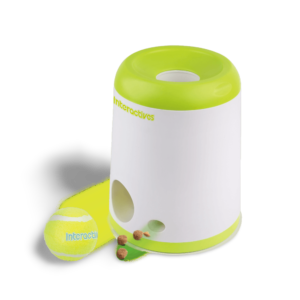 All For Paws Interactives Fetch N Treat Dog Toy - One Size