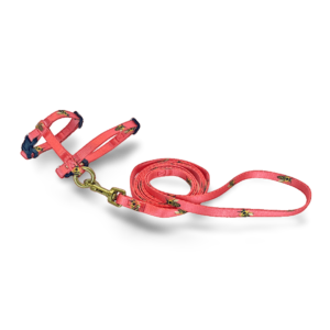 Anipal Bertie The Bee Orange Cat Harness & Lead Set - Small