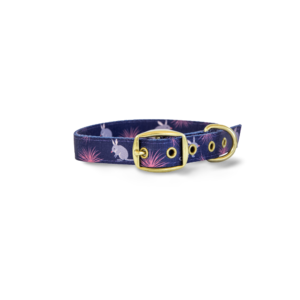 Anipal Billie The Bilby Dog Collar - Large