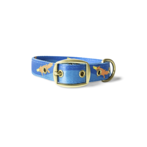 Anipal Piper The Platypus Dog Collar - Medium