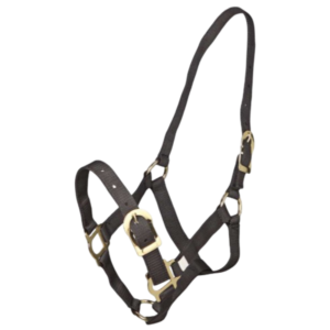 Zilco Headstall Picador PP Horse Halter In Black - Pony