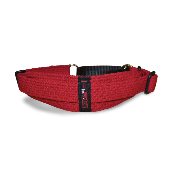 Blackdog Wear Sight Hound Nylon Dog Collar in Red – One Size