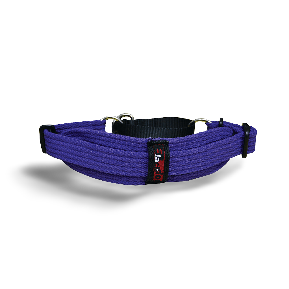 Blackdog Wear Whippet Nylon Dog Collar in Purple - One Size