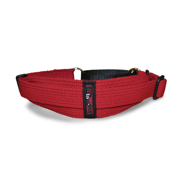 Blackdog Wear Whippet Dog Collar in Red – One Size
