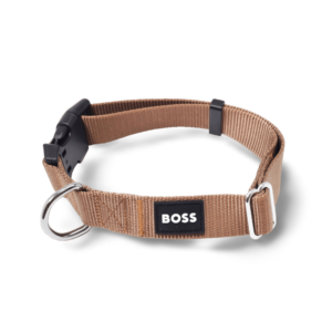Boss Core Walk Dog Collar in Beige - X Small/Small