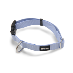 Boss Core Walk Dog Collar in Blue - X Small/Small