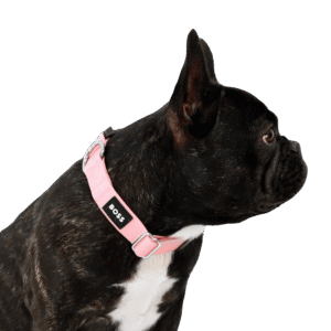 Boss Core Walk Dog Collar in Pink - X Small/Small