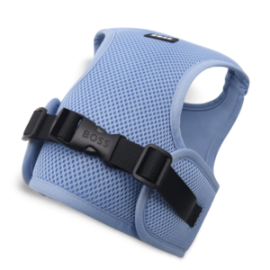 Boss Core Walk Dog Harness in Blue - Small