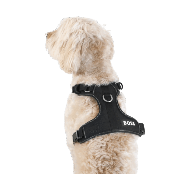 Boss Essentials Dog Harness in Black