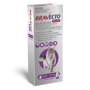 Bravecto Plus Purple All-in-One For Large Cats - 2 Pack