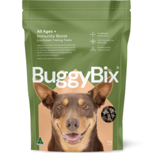 Buggybix All Ages Immunity Eco Insect Protein Dog Training Treats - 170g
