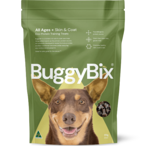 Buggybix All Ages Skin And Coat Eco Insect Protein Dog Training Treats - 170g