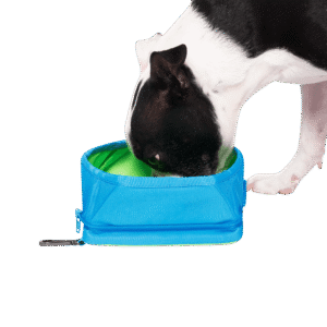Canada Pooch Chill Seeker Freeze-And-Go Cooling Collapsible Water Bowl - 1.5L