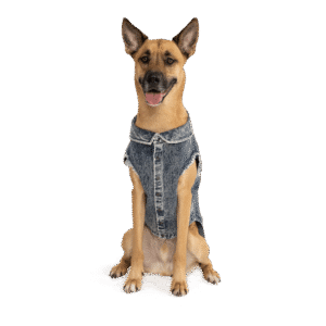Canada Pooch Downtown Denim Vest Dog Blue - size 8