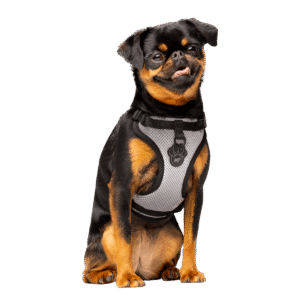 Canada Pooch Everything Dog Harness in Reflective Silver - Small