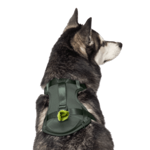 Canada Pooch Everything No Pull Dog Harness with Bag Dispenser Forest Green - Small