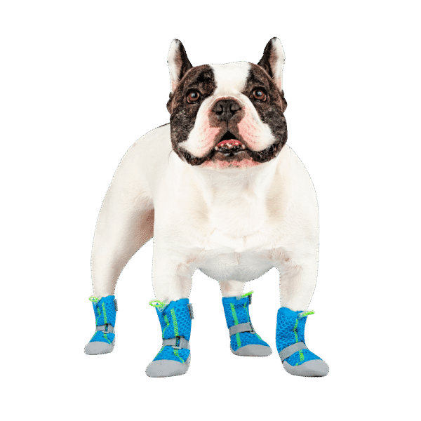 Canada Pooch Hot Pavement Dog Boots Blue
