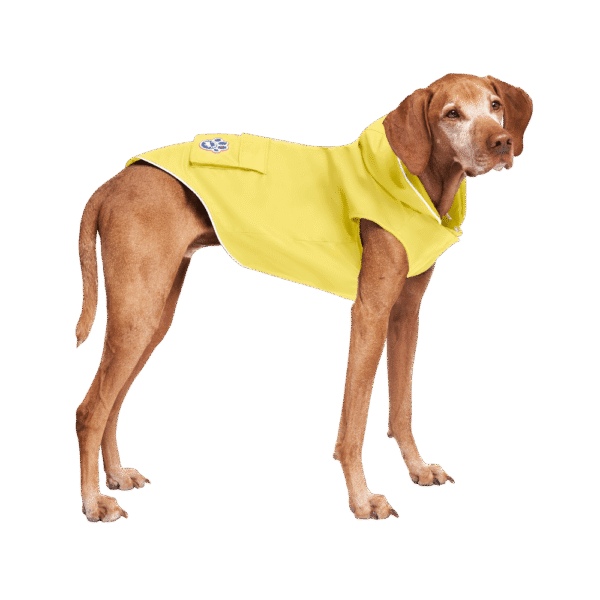 Canada Pooch Torrential Tracker Dog Raincoat Yellow