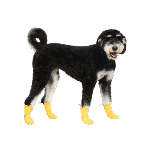 Canada Pooch Waterproof Rain Yellow Dog Boots - size 2