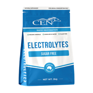 Cen Horse Electrolytes Supplement - 2kg