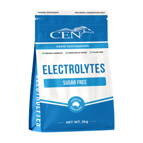 Cen Horse Electrolytes Supplement – 2kg