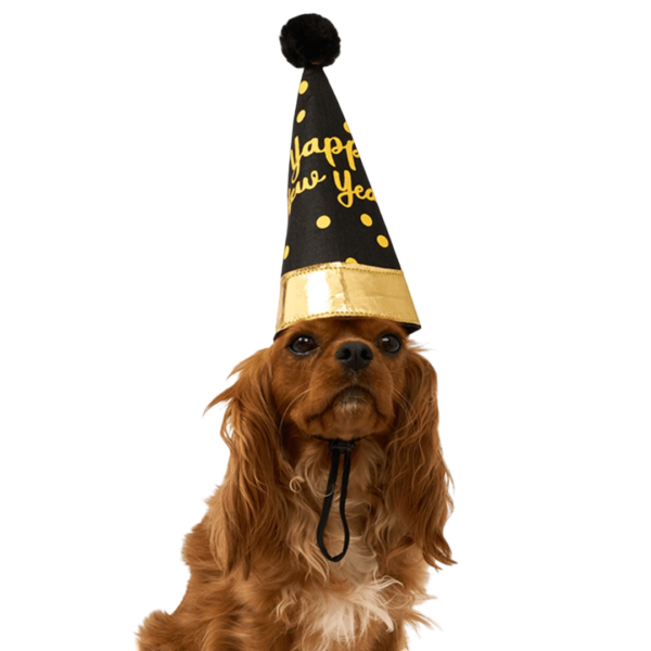Christmas By Pet Circle New Year Party Hat – One Size
