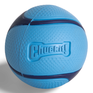Chuckit Sniff Fetch Ball Medium Bacon Dog Toy