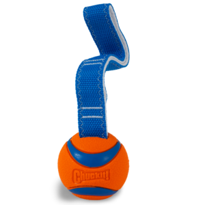 Chuckit Ultra Tug Fetch and Tug Dog Toy - Medium
