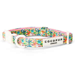Cocopup London Padded Dog Collar in Portofino Pup Summers - Large