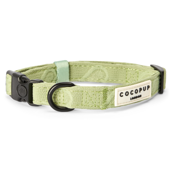 Cocopup London Padded Dog Collar in Sage Heart Green