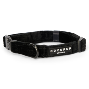 Cocopup London Luxe Padded Dog Collar in Noir Black Velvet - Large
