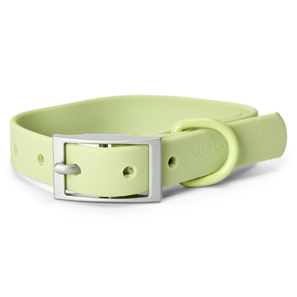 Cocopup London Nakd Waterproof Dog Collar in Matcha Green – XX Small