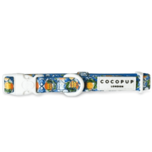 Cocopup London Padded Dog Collar in Amalfi Lemons Holidays - Small