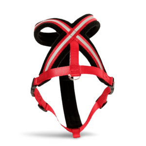 Company Of Animals Comfy Dog Harness in Red - Large