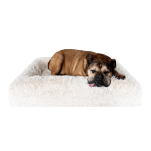 Dazy Dog Orthopaedic Dog Bed Cover Only Shag Cream - Medium