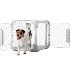 Diggs Evolv White Dog Crate - Intermediate