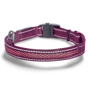 Dogness Rechargeable LED Glowing Dog Collar in Purple - Medium