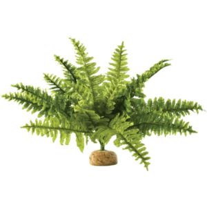 Exo Terra Boston Fern Ornament for Terrariums - Small