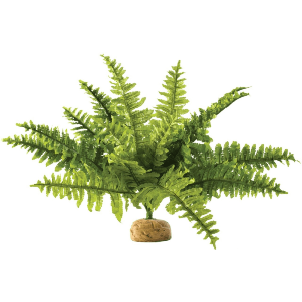 Exo Terra Boston Fern Ornament for Terrariums