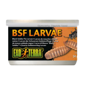Exo Terra Canned Black Soldier Fly Larvae Specialty Reptile Food - 34g
