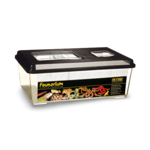Exo Terra Desert Den Fauna Box - medium