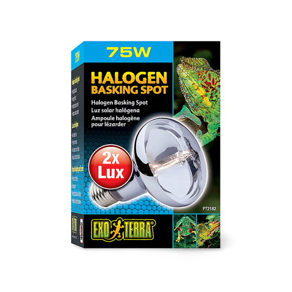 Exo Terra Halogen Basking Spot Lamp